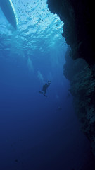Fototapeta na wymiar Divers by the reef in Aldabra, remote UNESCO World Heritage Site in Indian Ocean