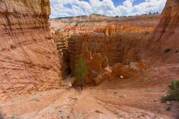 Bryce canyon
