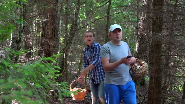 Angry man and woman lost in forest. Man using phone navigation