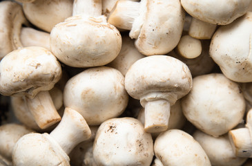 background of fresh whole mushrooms