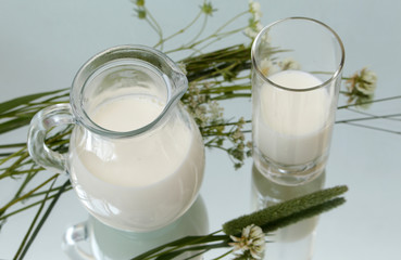jug and glass with milk