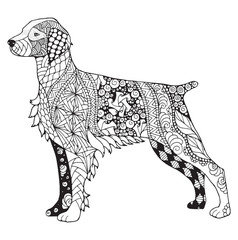 Brittany dog zentangle stylized, vector, illustration, freehand pencil, pattern. Zen art. Black and white illustration on white background. Adult anti-stress coloring book.