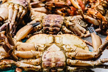 Fresh Fishes And Seafood On Ice In Fish Market