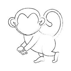monkey animal icon over white background vector illustration