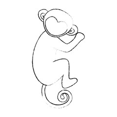 monkey animal icon over white background vector illustration