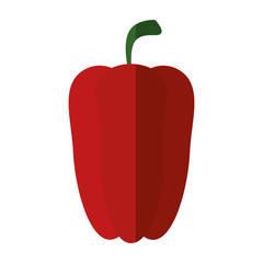 pepper vegetable icon over white background vector illustration