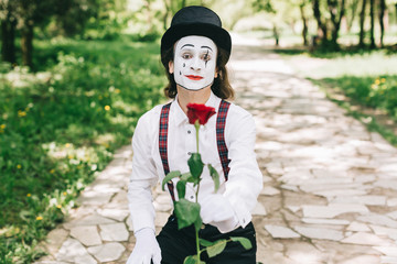 Emotional male mime artist with red rose performing love on a outdoor.