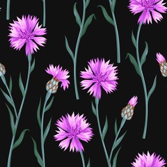 Seamless pattern with colorful cornflowers