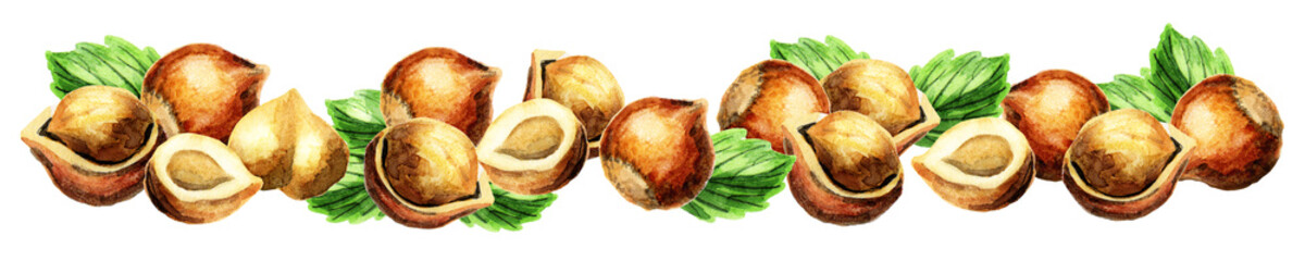 Panoramic image of hazelnut. Can be used for kitchen skinali. Isolated watercolor illustratiion