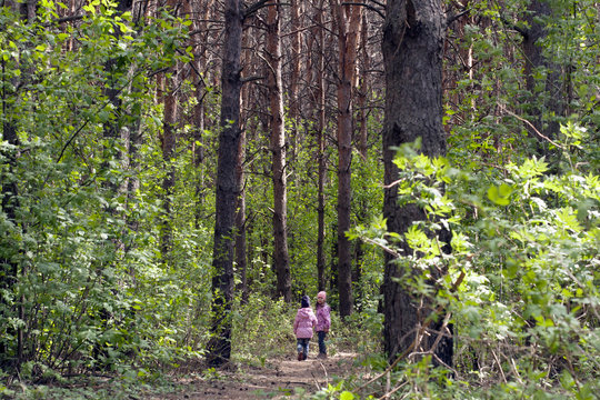 Safety Rules For Walks In The Forest. The Child Is Lost