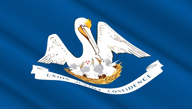 Waving flag of Louisiana state. 3D illustration.
