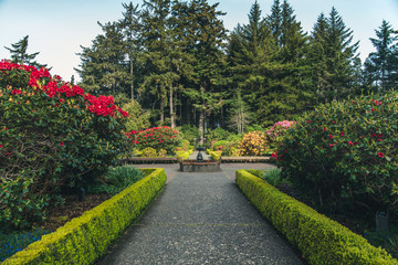 Obraz premium Lush flower garden.