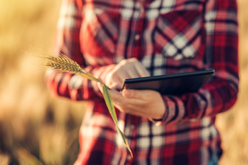 Smart farming, using modern technologies in agriculture