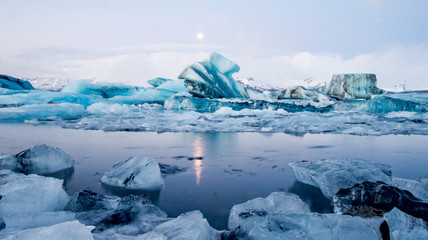 glacier pieces float in a lagoon