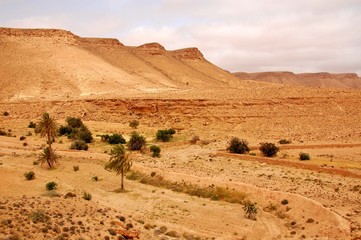 Paysage dans le désert.