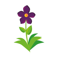 beautiful flower icon over white background colorful design vector illustration