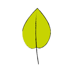 leaf icon over white background vector illustration