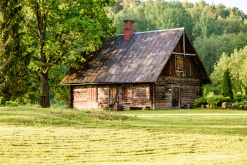 Obraz premium country house with oak trees