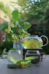 Lime flower tea. Aroma, health, energy