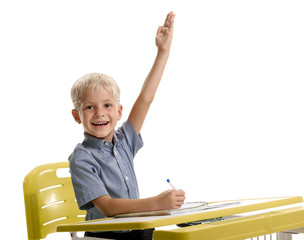 Schoolboy ready to answer