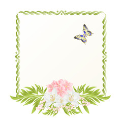 Frame  cherry blossom and jasmine with butterflies vintage  festive  background vector illustration editable hand draw