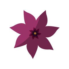 beautiful flower icon over white background colorful design vector illustration