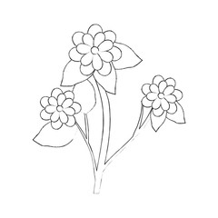 beautiful flowers icon over white background vector illustration