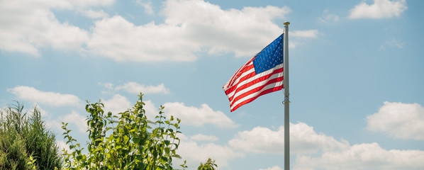 USA Flag, blue sky and tree