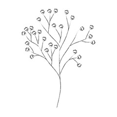 Naklejka premium stem with beautiful flower icon over white background vector illustration