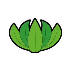 leaves icon over white background vector illustration