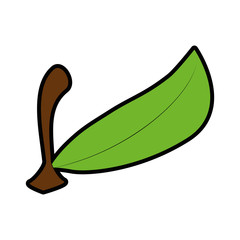 leaf icon over white background vector illustration