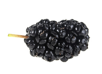 Black mulberry fruit isolated on a white background