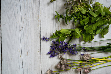 Various of fresh herbs on rustic table