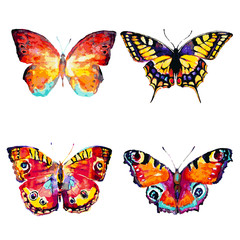 wedding dress design, black and white