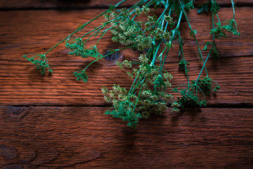 Various of fresh herbs on rustic table