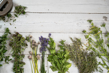 Various of fresh herbs on rustic table