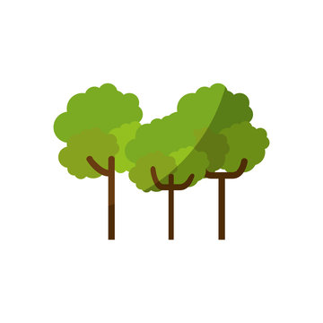 nature trees cartoon icon vector graphic illustration