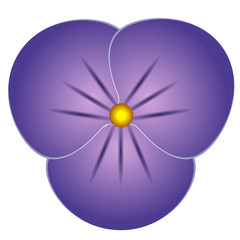 Isolated colored flower