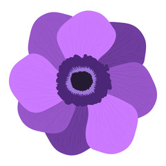 Isolated colored flower