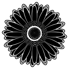 Isolated flower silhouette