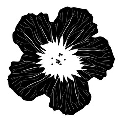 Isolated flower silhouette