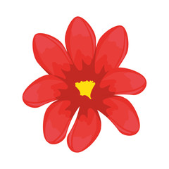 isolated cute flowers icon vector graphic illustration
