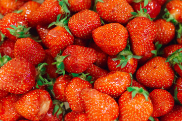 Fresh ripe strawberry in a box.
