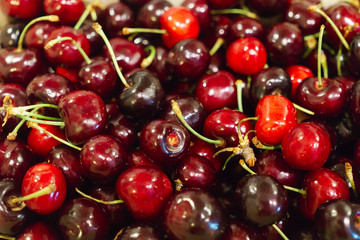 Fresh burgundy sweet cherry poured into a box.