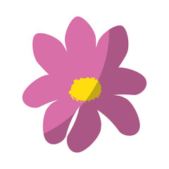 isolated cute flower icon vector graphic illustration