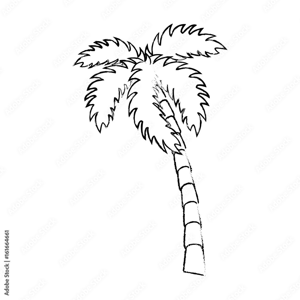 Poster isolated beach palm icon vector graphic illustration