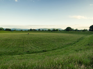 Fototapeta na wymiar summer countryside morning,Northern Ireland