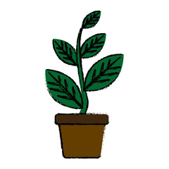 potted plant natural decoration interior image vector illustration