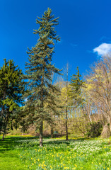 View of Queen Victoria Park - Niagara Falls, Canada