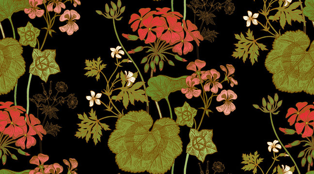 Geranium flowers. Seamless floral pattern.